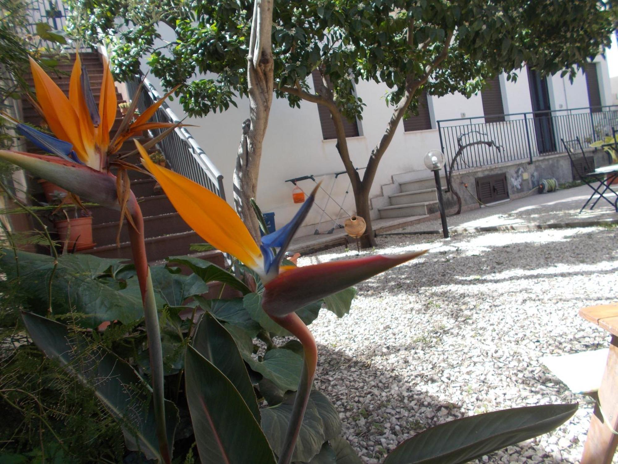 Villa Il Melograno Ταορμίνα Εξωτερικό φωτογραφία